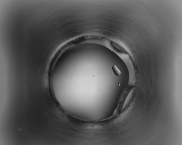 X0000094930927200712061126