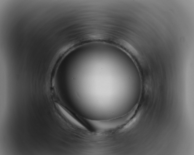 X0000094930930200712061126