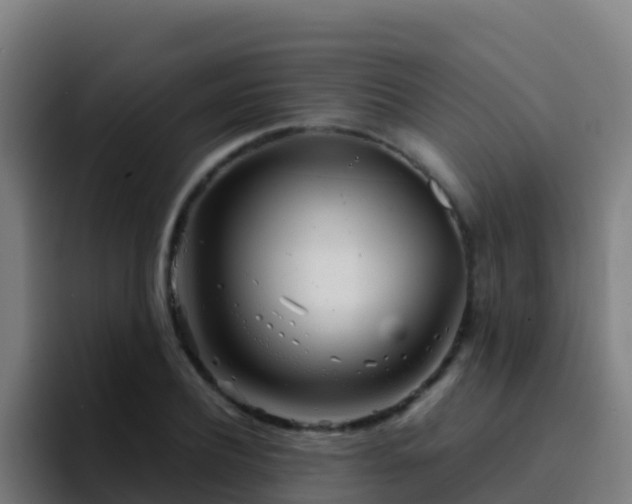 X0000094930932200712061126