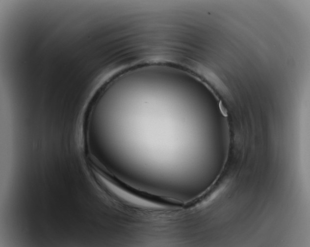 X0000094930934200712061126