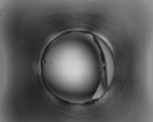 X0000094930935200712061126