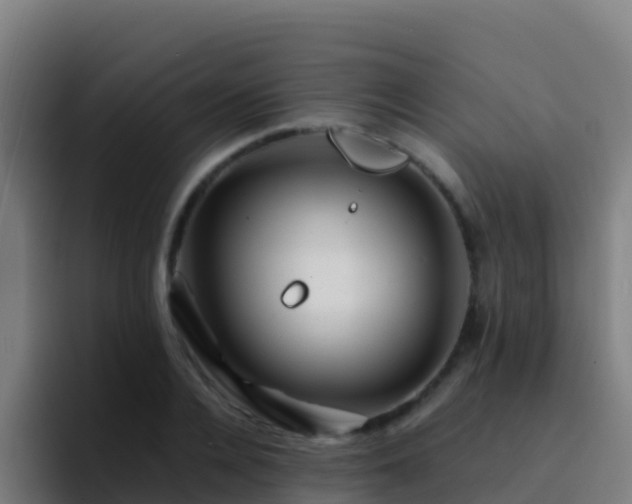 X0000094930936200712061126