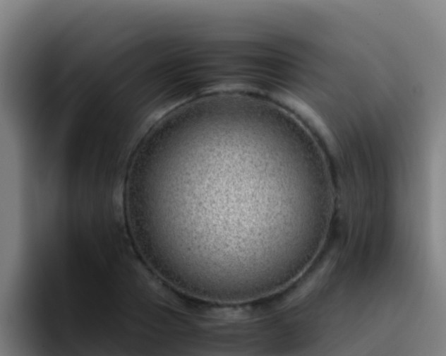 X0000094930937200712061126