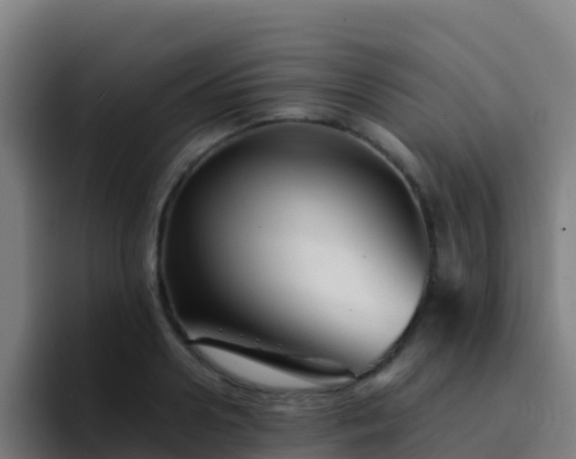 X0000094930938200712061126