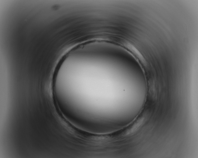 X0000094930939200712061126