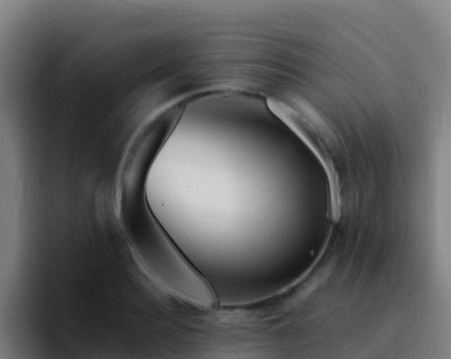 X0000094930940200712061126