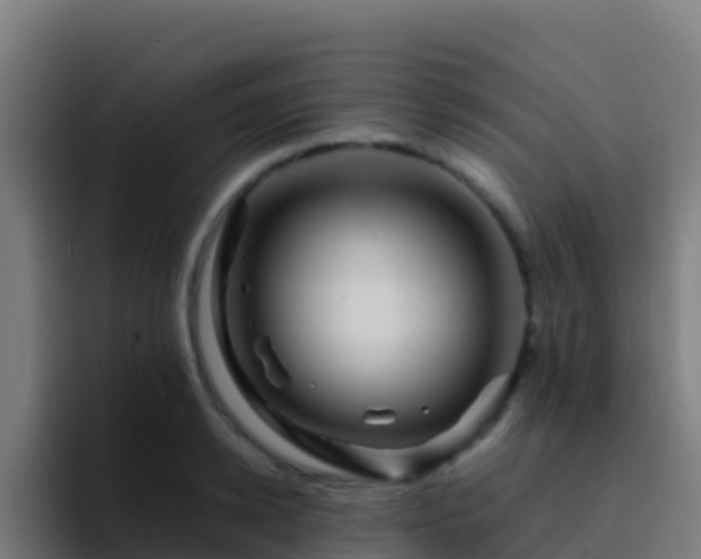 X0000094930942200712061126