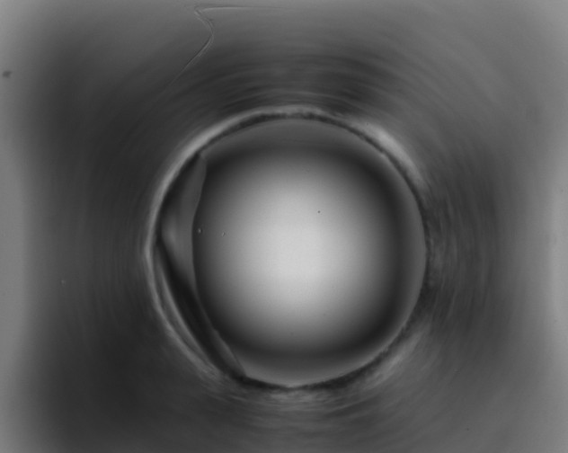 X0000094930943200712061126