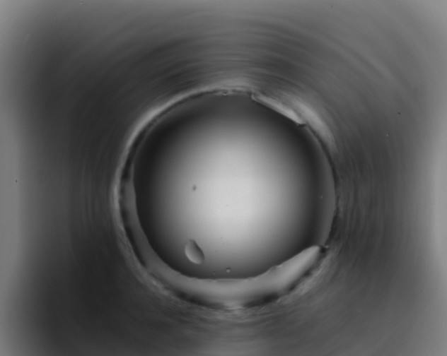 X0000094930944200712061126