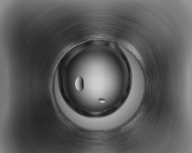 X0000094930946200712061126