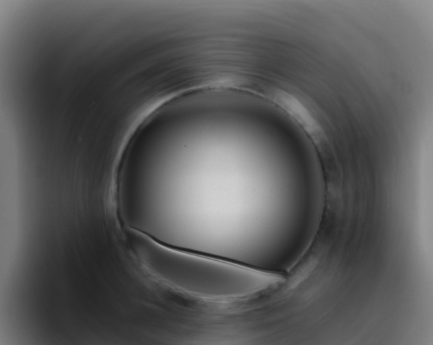 X0000094930948200712061126