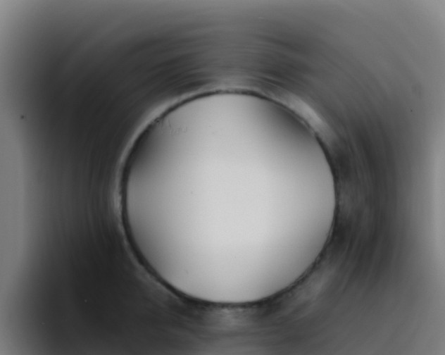 X0000094930950200712061126