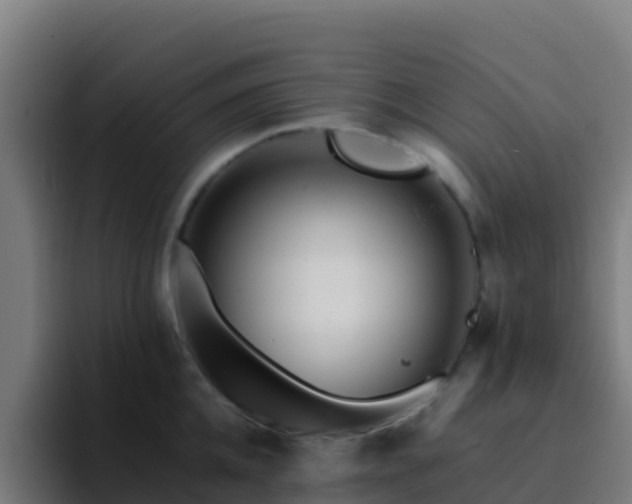 X0000094930952200712061126