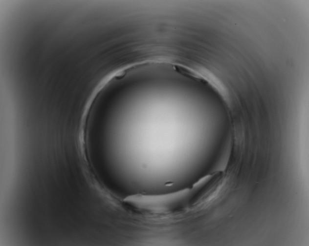 X0000094930956200712061126