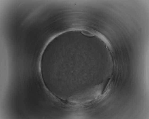 X0000094930958200712061126