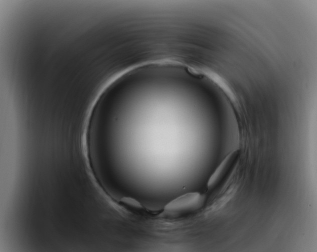 X0000094930959200712061126
