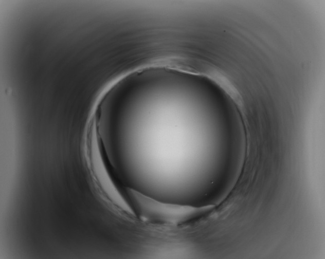 X0000094930960200712061126