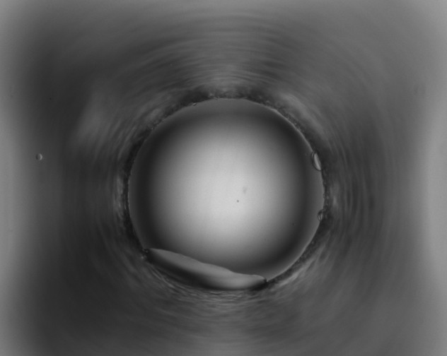 X0000094930964200712061126