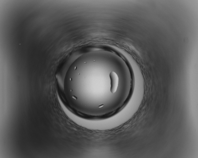 X0000094930965200712061126
