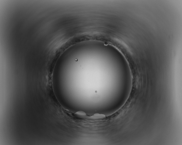 X0000094930966200712061126