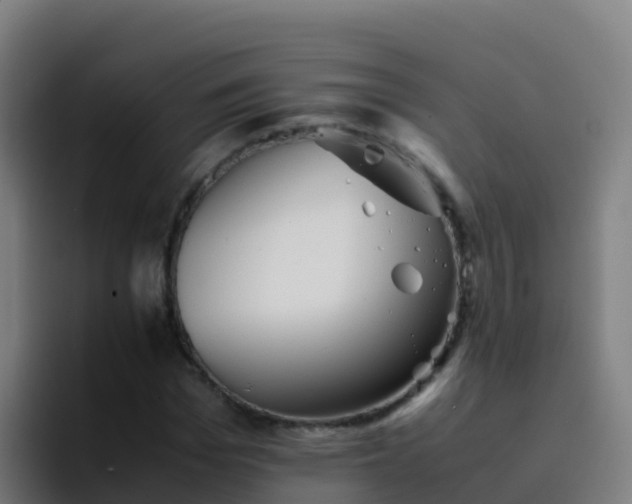 X0000094930969200712061126