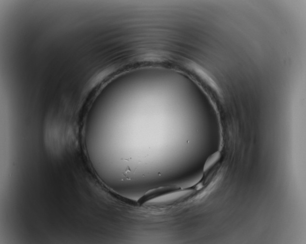X0000094930970200712061126