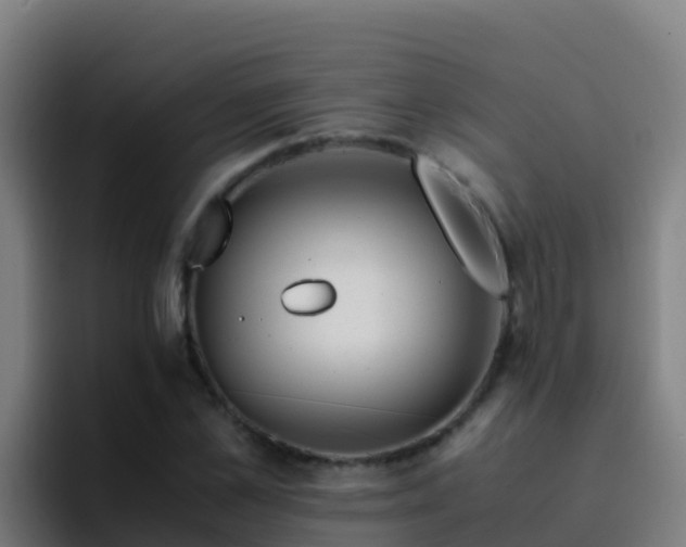 X0000094930973200712061126