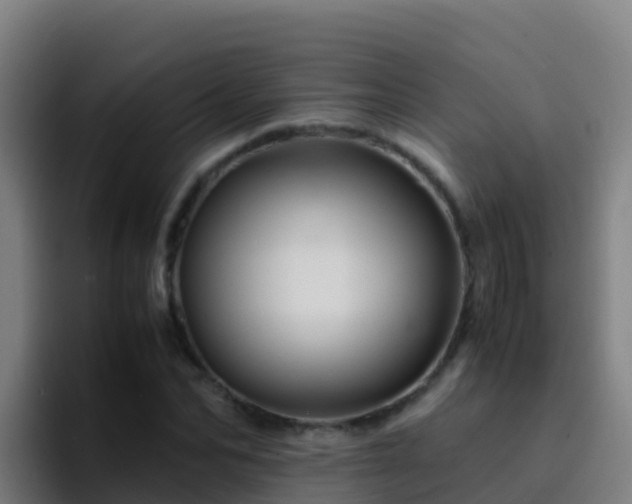 X0000094930974200712061125