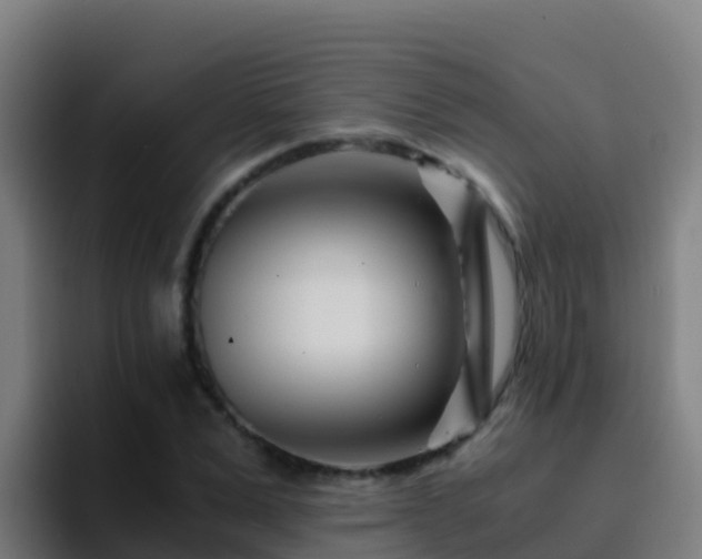 X0000094930975200712061125