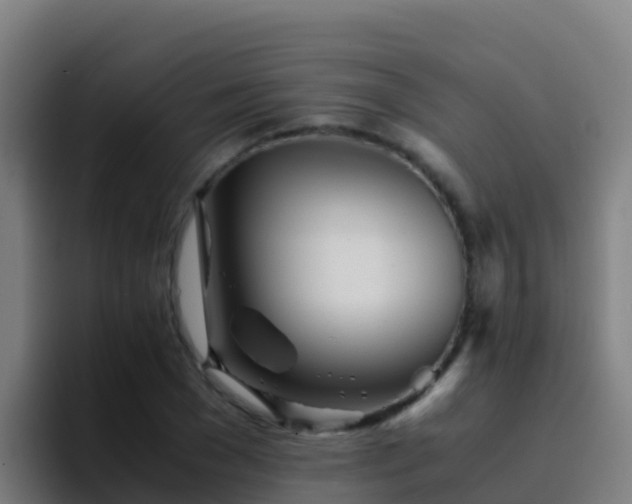 X0000094930977200712061125