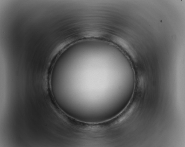 X0000094930978200712061125