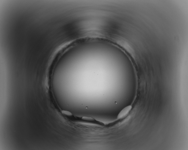 X0000094930979200712061125