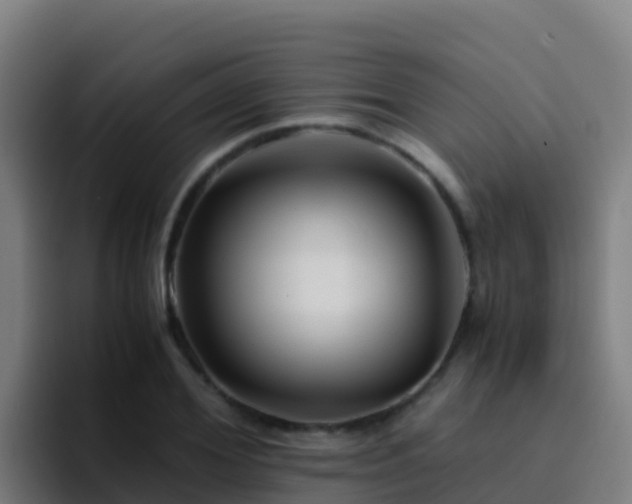 X0000094930980200712061125