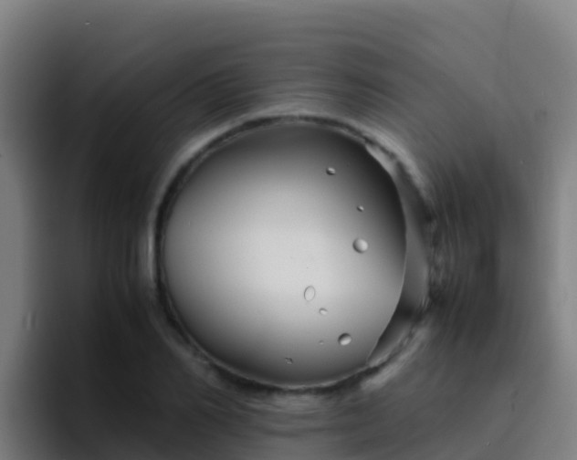 X0000094930982200712061125
