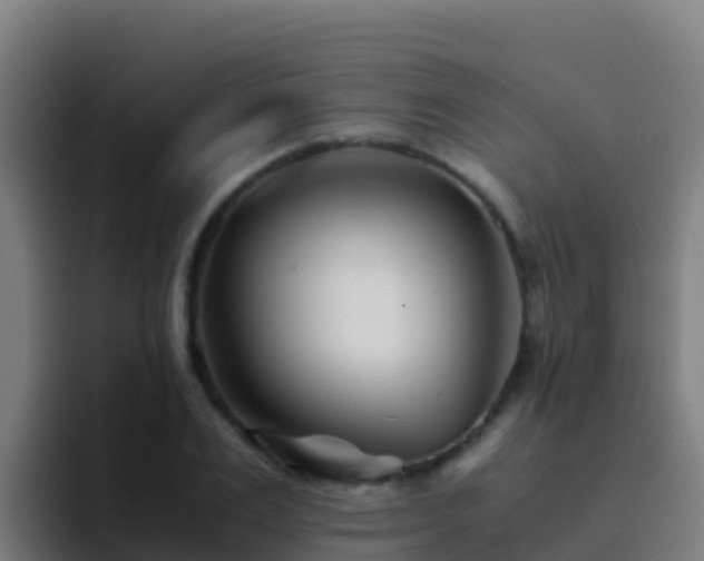 X0000094930983200712061125