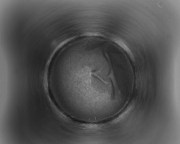 X0000094930984200712061125