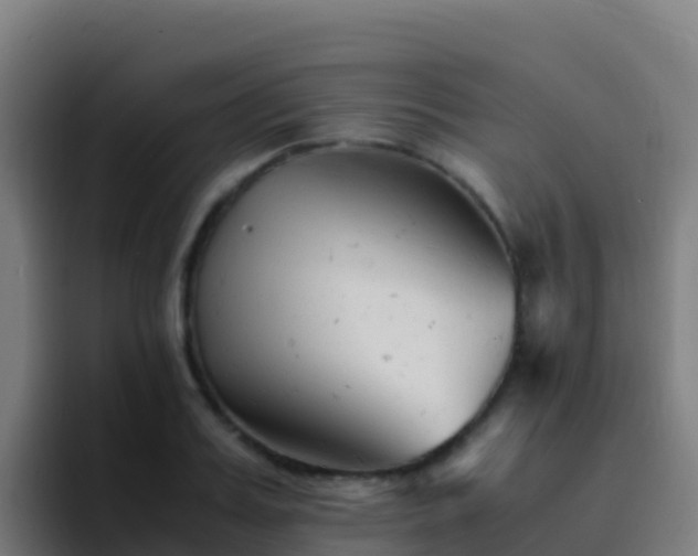 X0000094930987200712061125