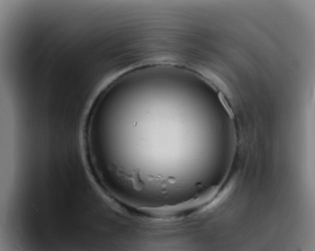 X0000094930989200712061125