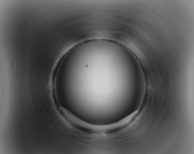 X0000094930990200712061125