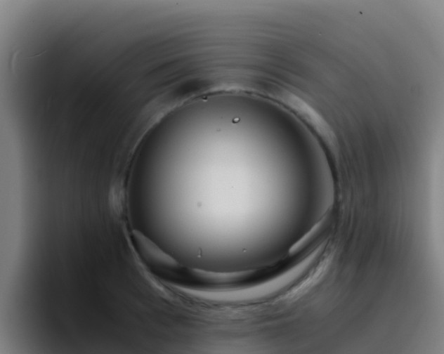 X0000094930993200712061125