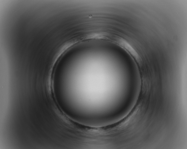 X0000094930994200712061125