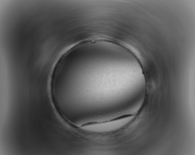 X0000094930995200712061125