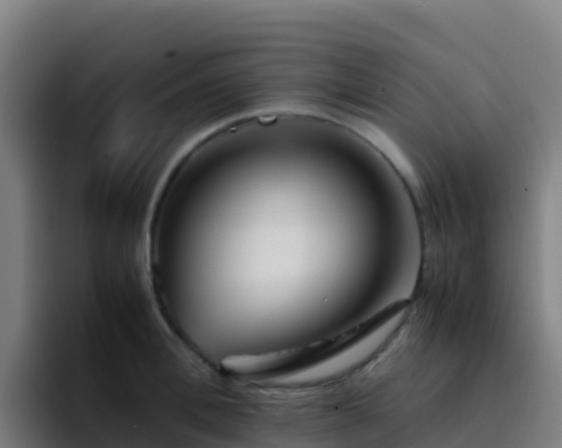 X0000094930996200712061125
