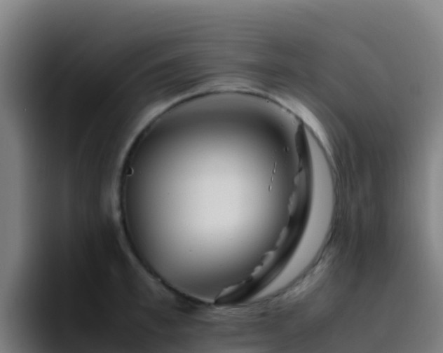 X0000094930997200712061125