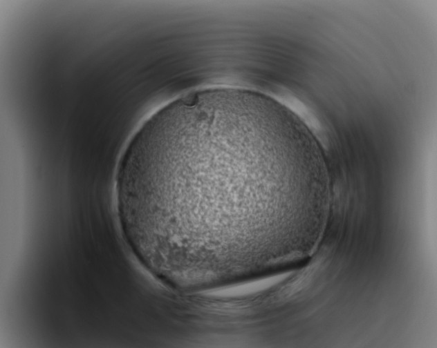 X0000094930998200712061125