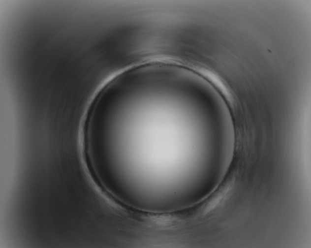 X0000094930999200712061125