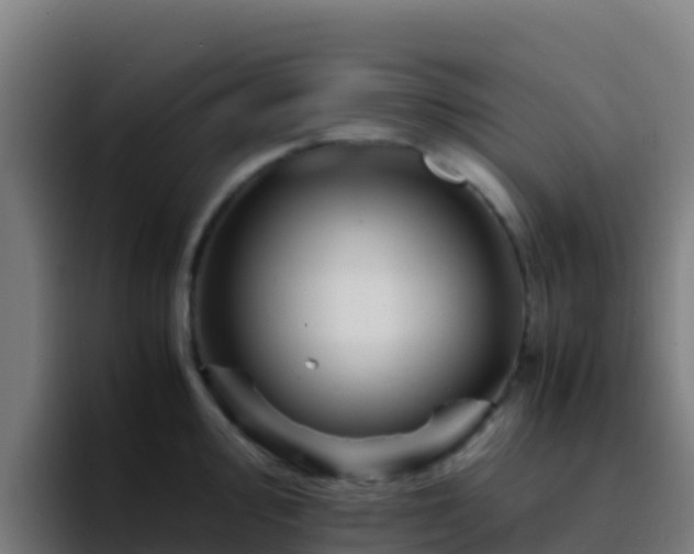 X0000094931000200712061125