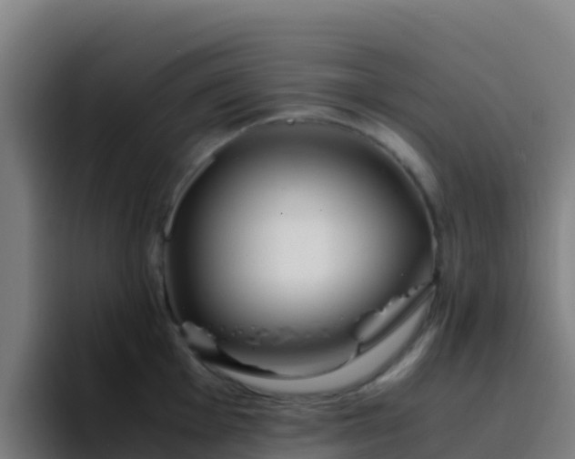 X0000094931001200712061125