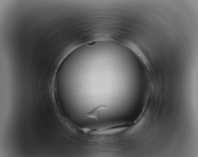 X0000094931002200712061125