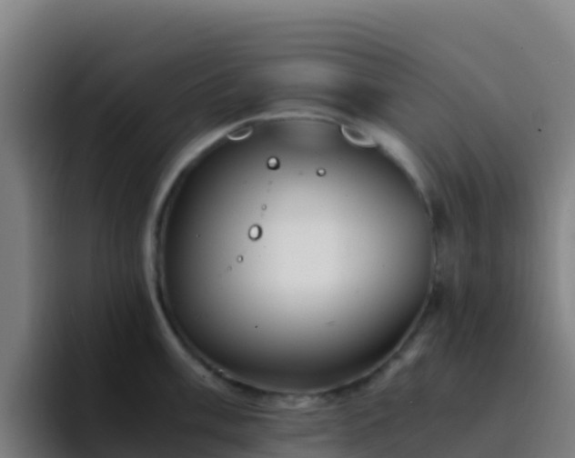 X0000094931003200712061125